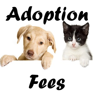 Adoption Fees