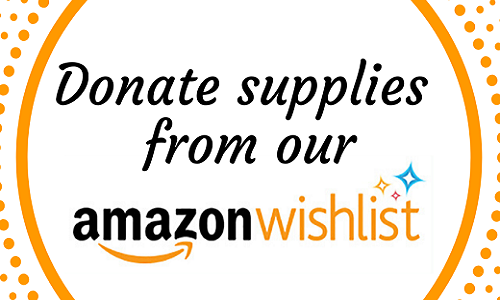 Shop our Amazon Wishlist