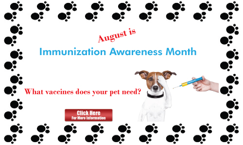 August is Pet Immunization Awareness Month