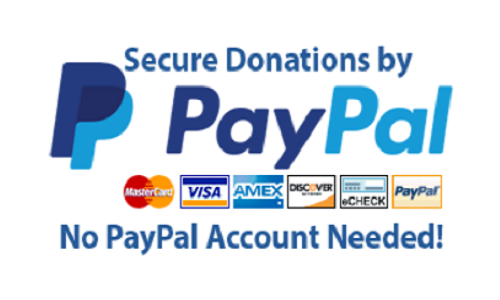 Donate through Paypal