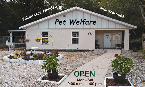 Pet Welfare Open
